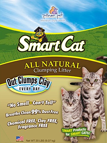 best cat litter