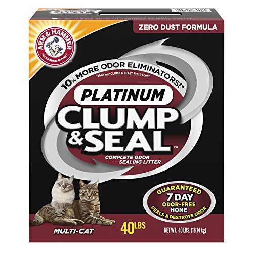 best cat litter