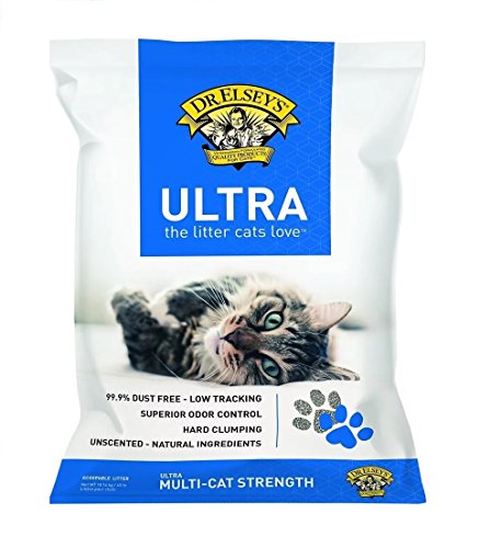 best cat litter