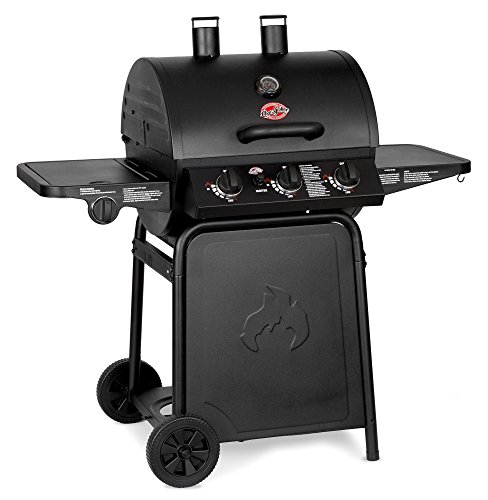 Best Portable & Natural Gas Grill