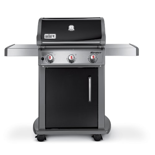 10 Best Portable & Natural Gas Grill in 2024 (For Home)