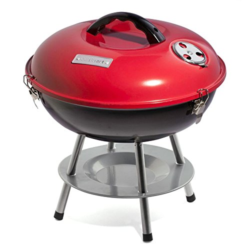 10 Best Charcoal Grill 2019