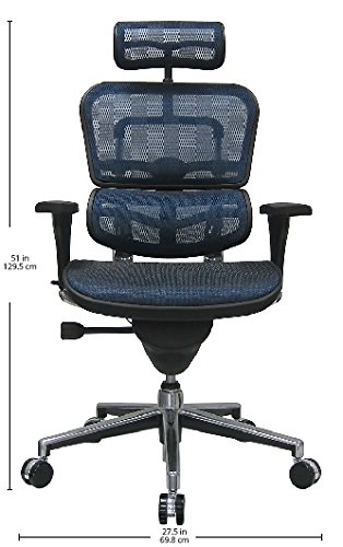 10 Best Office Chair For Back Pain In 2020 Review Guide Mippin