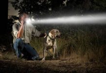 9 Best High Lumen Rechargeable Flashlights in 2024 Best Rechargeable Flashligh