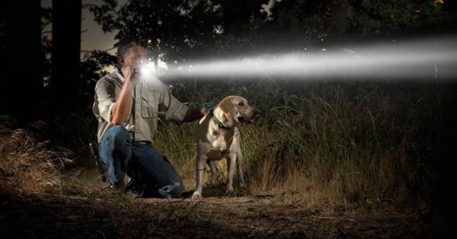 Best Rechargeable Flashligh