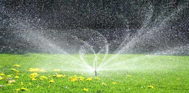 10 Best Lawn Sprinklers