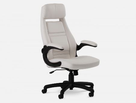 10 Best Office Chair For Back Pain In 2020 Review Guide Mippin