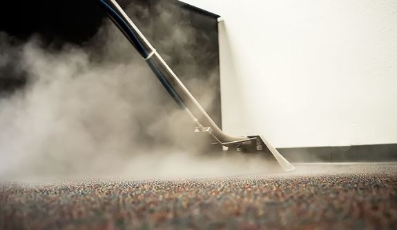 11 Best Steam Cleaner For Carpet Tiles In 2020 Mippin