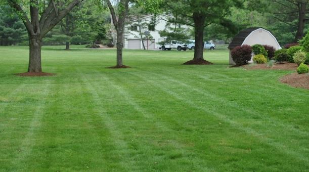 Lawn Fertilizer Application Chart