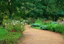 7 Tips to Secure your Garden (Simple Guide)