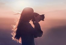 Best Camera Types For Photography Beginners