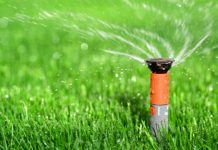Water Saving Landscaping Ideas for Perth Gardeners water saving