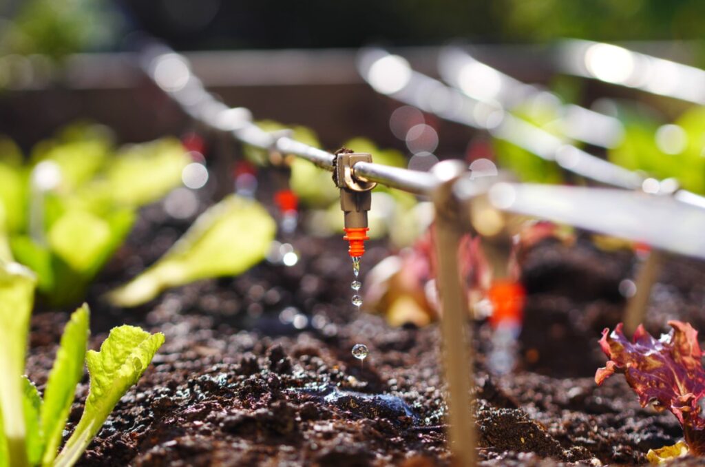 How to Choose the Right Irrigation System For Your Garden