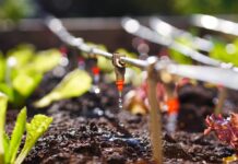 How to Choose the Right Irrigation System For Your Garden? How to Choose the Right Irrigation System For Your Garden