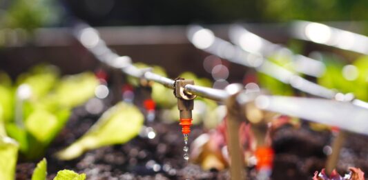 How to Choose the Right Irrigation System For Your Garden? How to Choose the Right Irrigation System For Your Garden