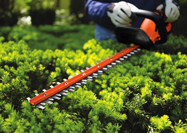 cordless hedge trimmer