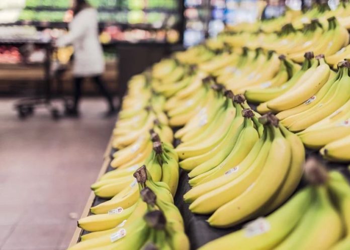 10 Tips on How to Save on Grocery Shopping