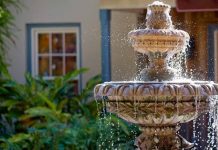 Tips for growing a Fountain Garden Tips for growing a Fountain Garden
