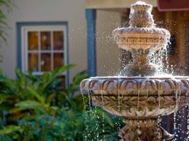 Tips for growing a Fountain Garden Tips for growing a Fountain Garden
