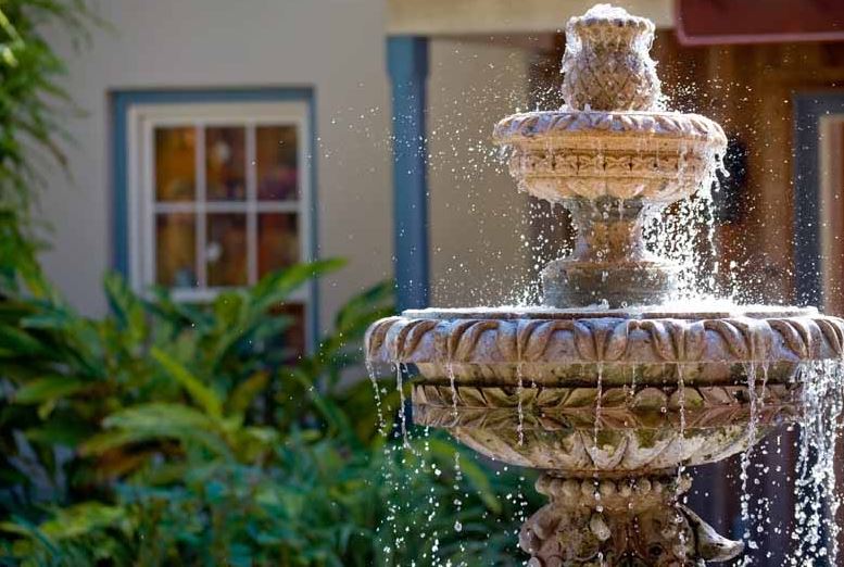 Tips for growing a Fountain Garden