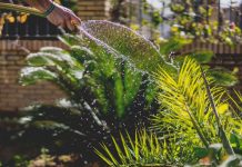 How to Fix a Garden Hose – The 6 Step Process how to fix a garden hose