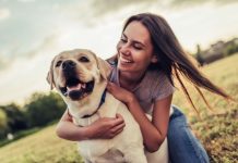 8 Tips for How to Take Care of Pets Like a Pro How to Take Care of Pets Like a Pro