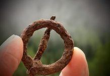 What Makes A Historian’s Career Appealing