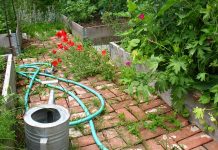 10 Best Garden Hose in 2024 (Expandable & lightweight Hoses) best garden hose