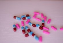 Everything You Should Know About the Ingredients of MegaSpore Probiotics