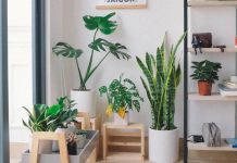 What Is A Luxury Garden Room?