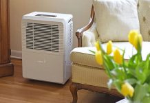 Everything You Need to Know About a Dehumidifier dehumidifier