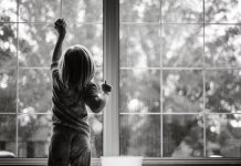 3 DIY Window Washing Techniques and their Efficacy 3 DIY Window Washing Techniques and their Efficacy