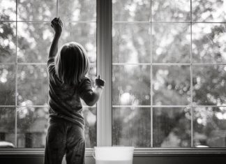 3 DIY Window Washing Techniques and their Efficacy 3 DIY Window Washing Techniques and their Efficacy