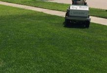 10 Best Lawn Fertilizer for Spring & Summer in 2022 lawn fertilizer schedule