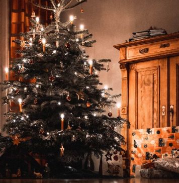 Unique Christmas Tree Ideas To Make Your Holidays Special