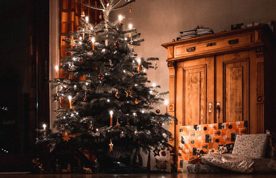 Unique Christmas Tree Ideas To Make Your Holidays Special