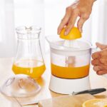 Top 5 Features of Quality Lemon Squeezer Top 5 Features of Quality Lemon Squeezer
