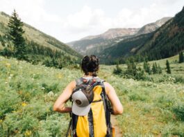 How to Become a Master Traveler? (Follow these Tips) how to become master traveler