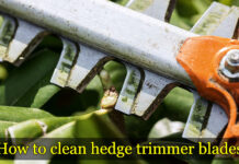 How to Clean Hedge Trimmer Blades? How to clean hedge trimmer blades