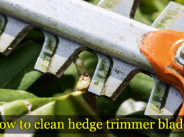 How to Clean Hedge Trimmer Blades? How to clean hedge trimmer blades