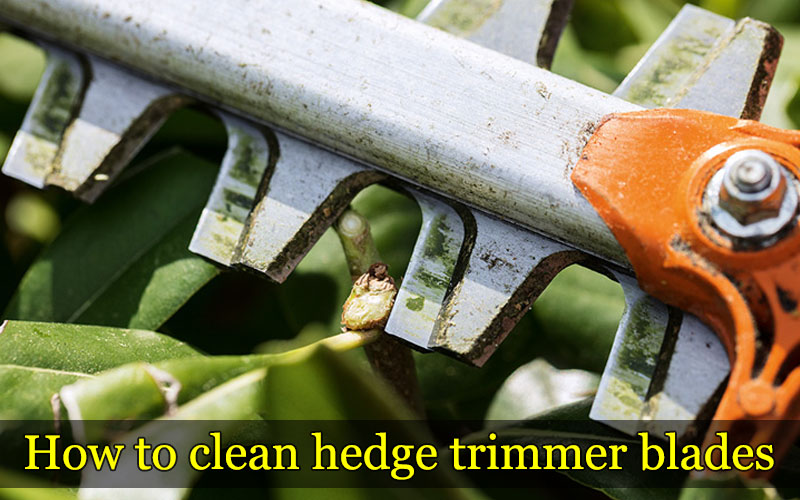 How to clean hedge trimmer blades