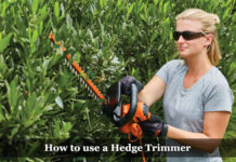 How to Use a Hedge Trimmer How to use a Hedge Trimmer 2