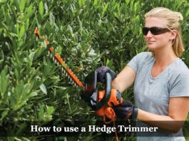 How to Use a Hedge Trimmer How to use a Hedge Trimmer 2