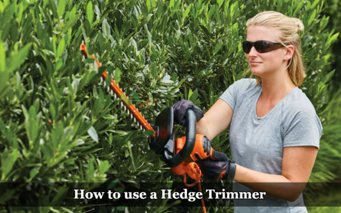 How to use a Hedge Trimmer 2