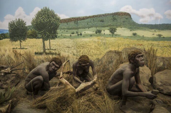 Humans Evolve: Tracing the Remarkable Journey of Homo Sapiens