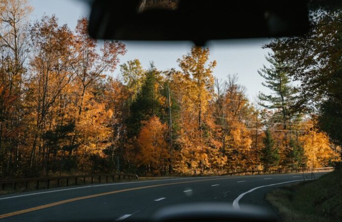3 Considerations When Planning a Road Trip