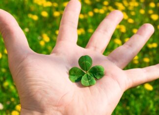 The Importance of Bankroll Management on Lucky Club: Tips for Sustained Success lucky club